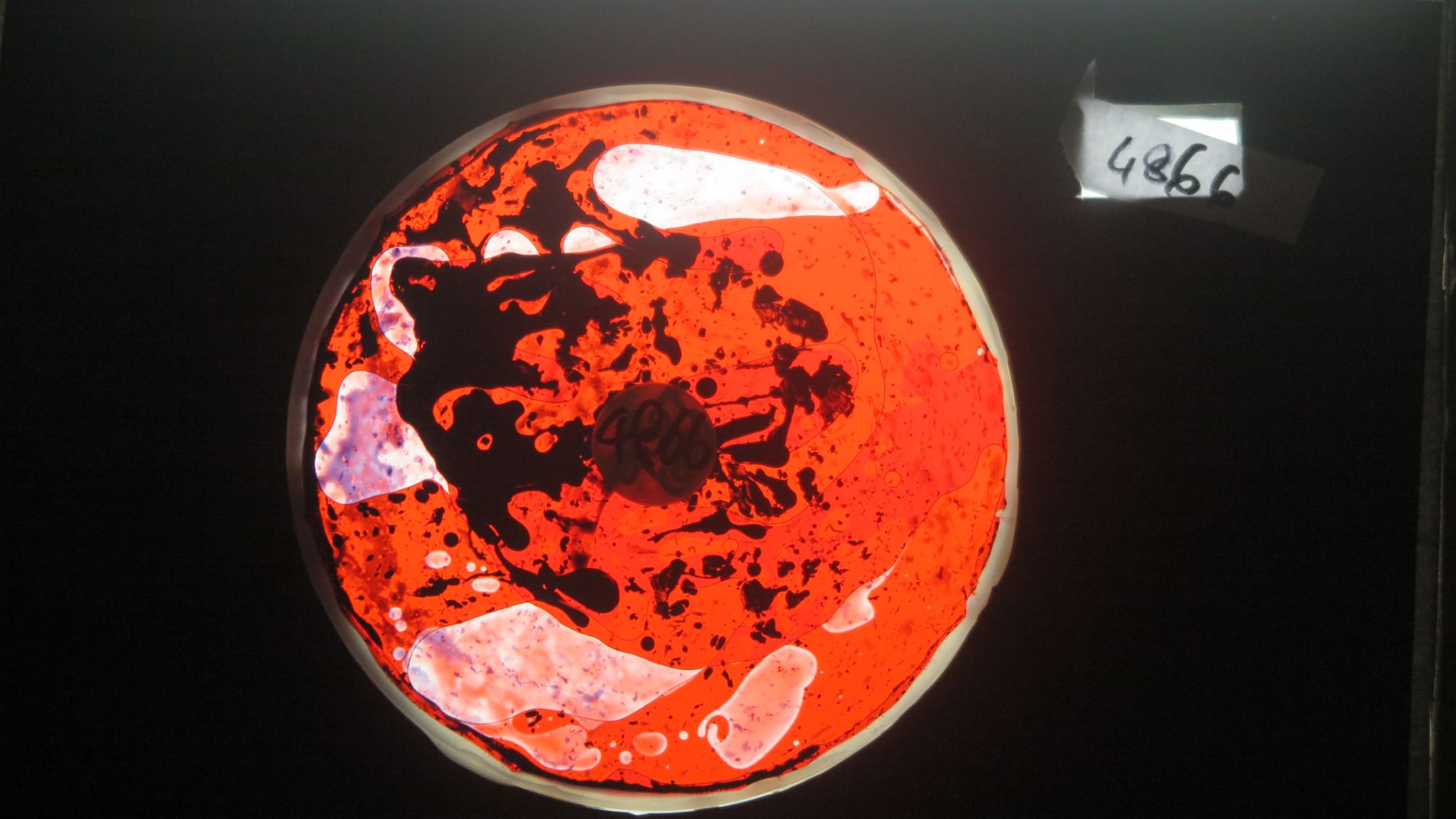 BV4866 bubble vision oil wheel